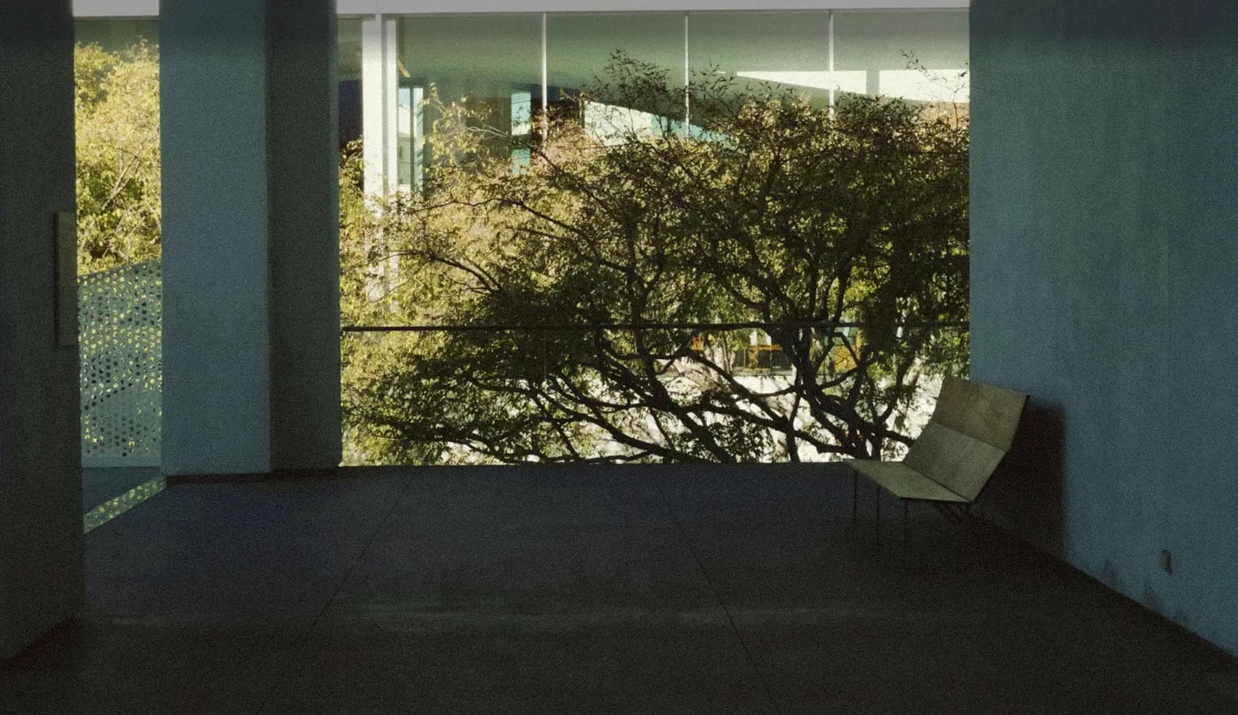 Empty modern balcony with a bench overlooking leafy tree branches and building windows.